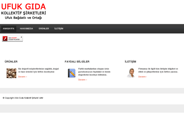 www.ufukgida.net