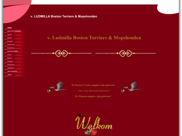 www.vludmilla.com