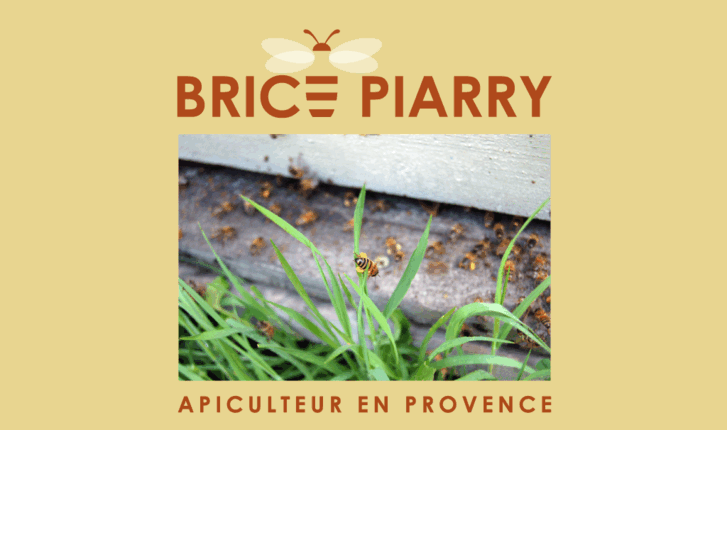 www.brice-piarry.com