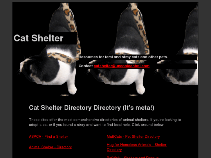 www.catshelter.org