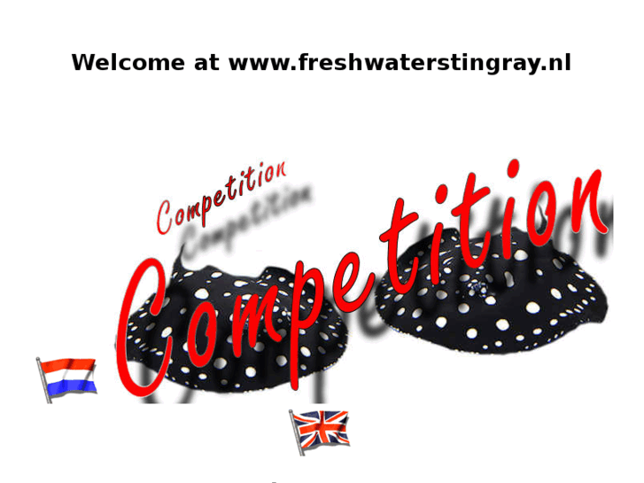 www.freshwaterstingray.nl