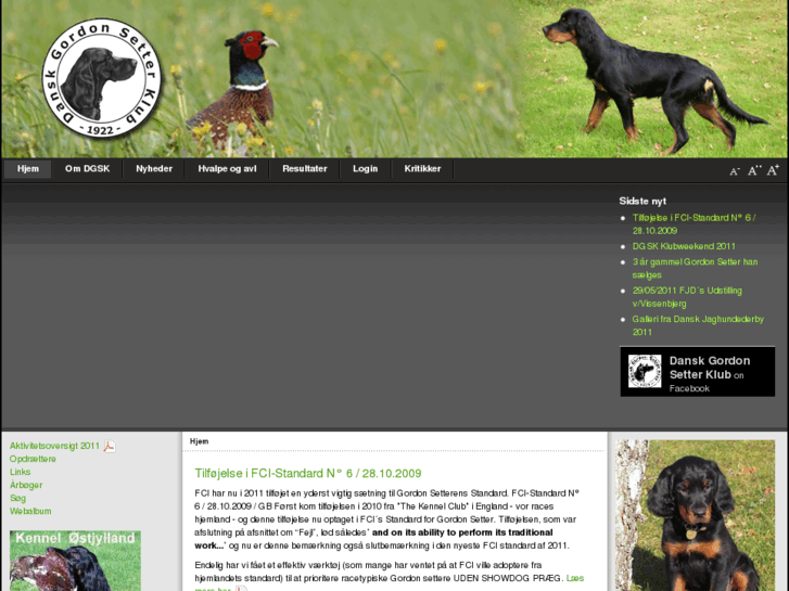 www.gordonsetter.dk