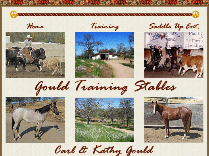 www.gouldtrainingstables.com