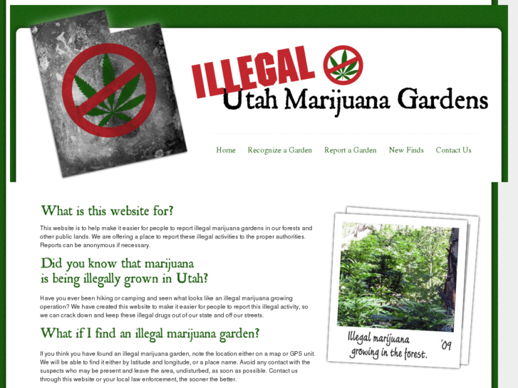 www.illegalutahmarijuanagardens.com