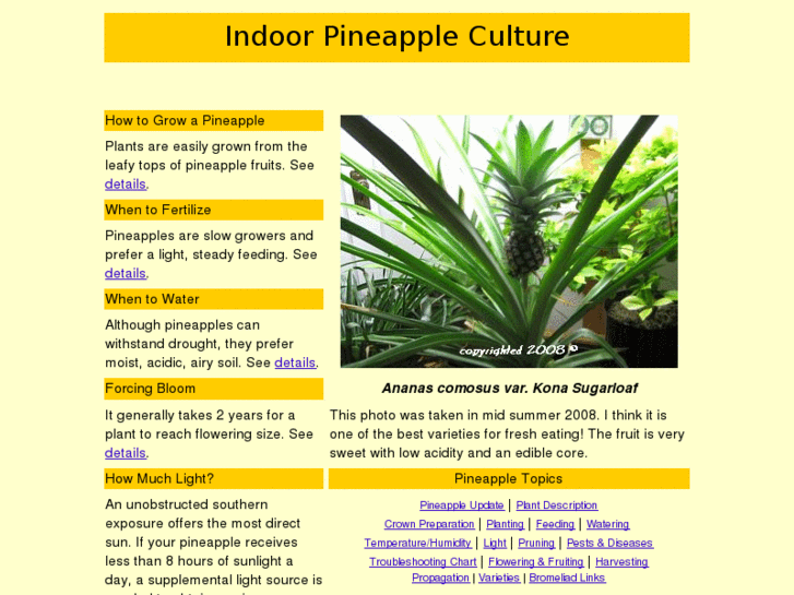 www.indoorpineapplegrowers.org