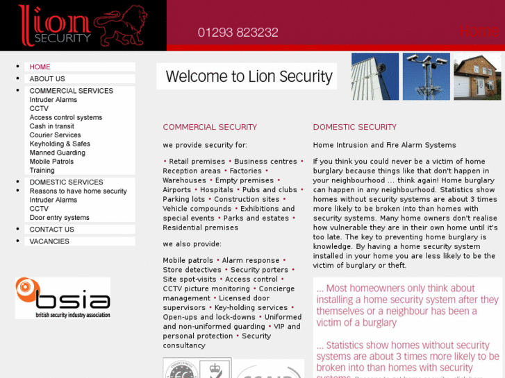 www.lionsecurity.co.uk