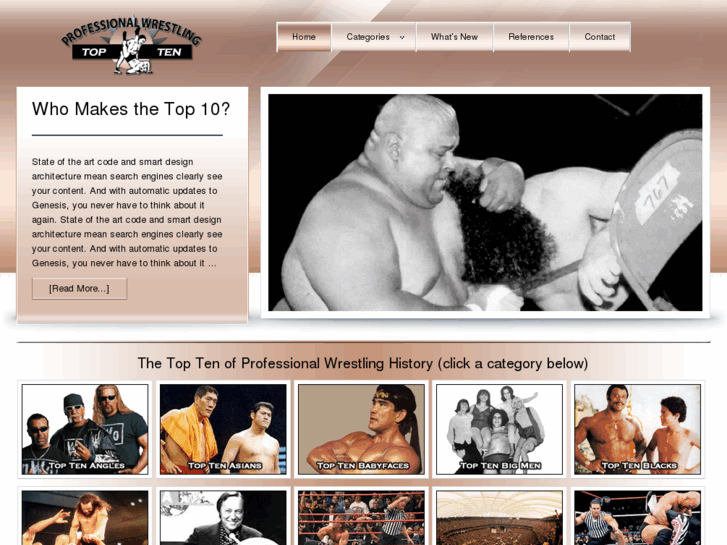 www.wrestlingtopten.com