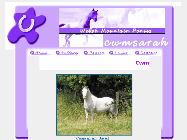 www.cwmsarah.com