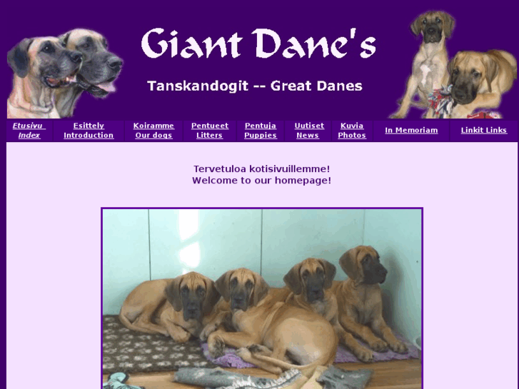 www.giantdanes.com