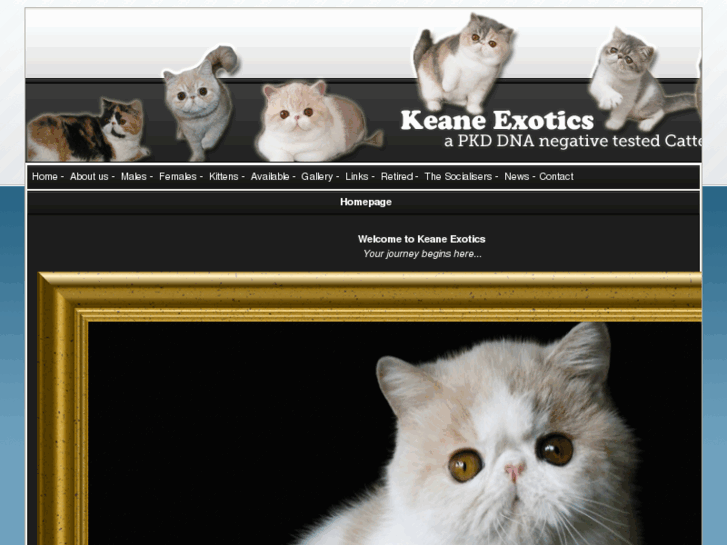 www.keane-exotics.com