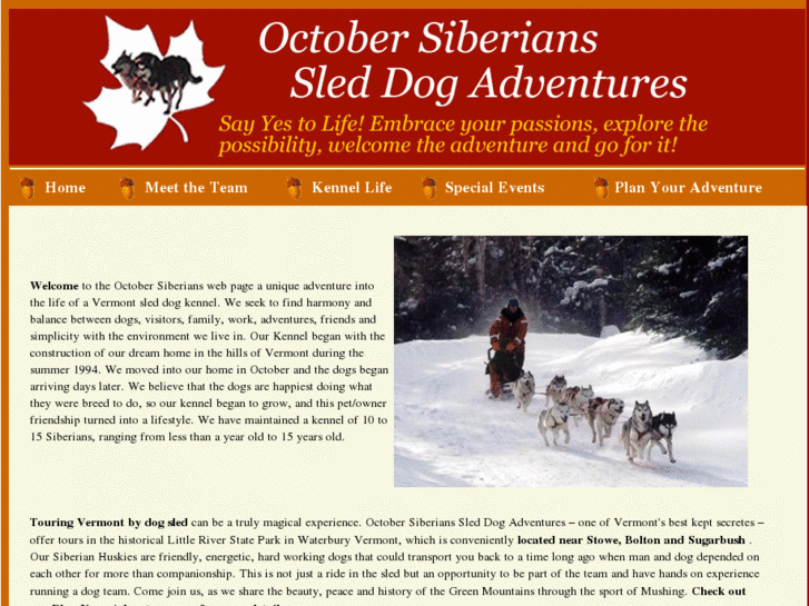 www.octobersiberians.com