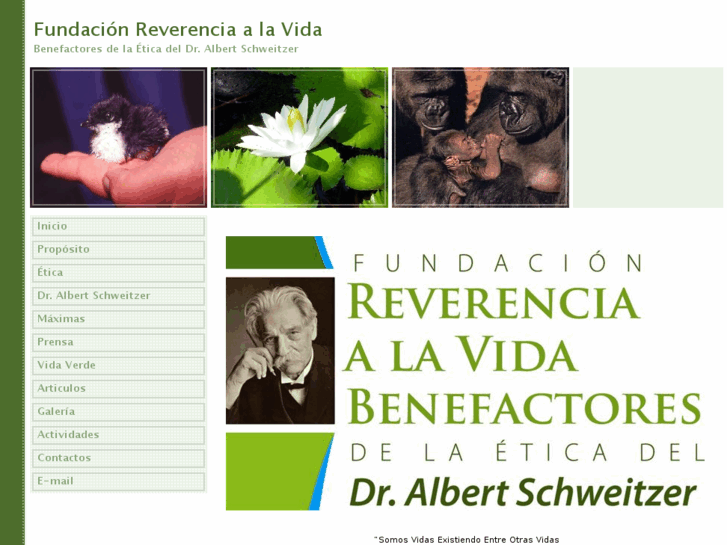 www.reverenciaalavida.org