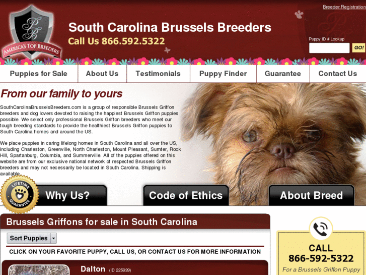 www.southcarolinabrusselsbreeders.com