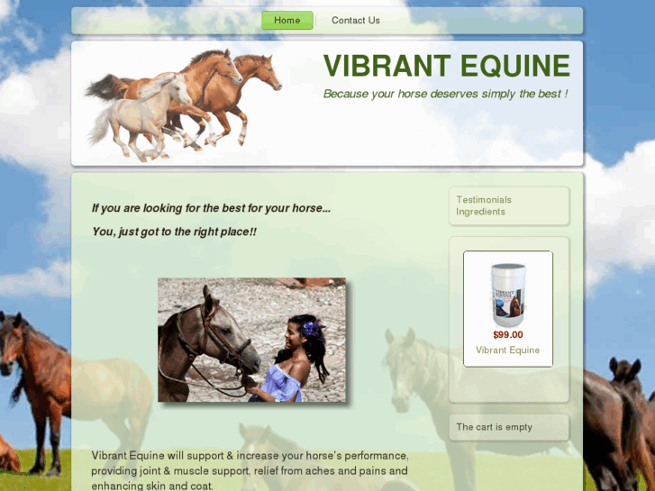 www.vibrantequine.com