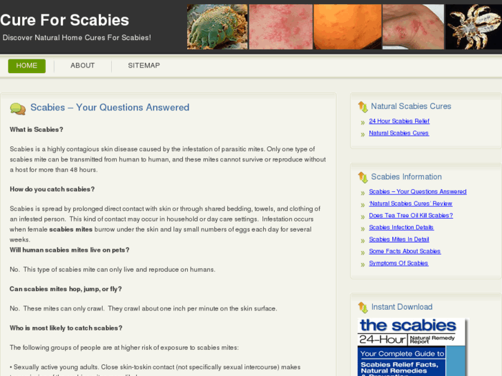 www.cureforscabies.info