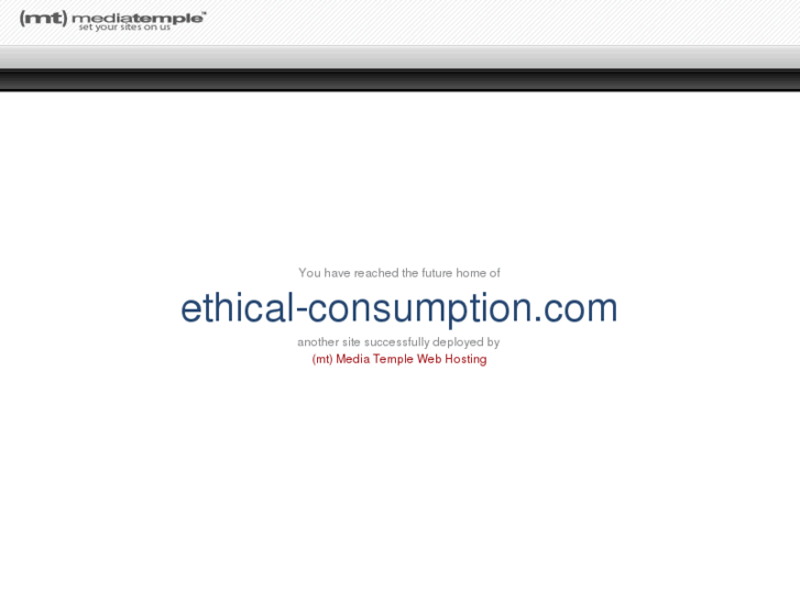 www.ethical-consumption.com