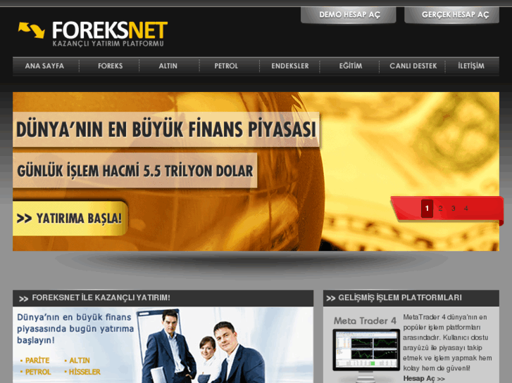 www.foreksnet.com