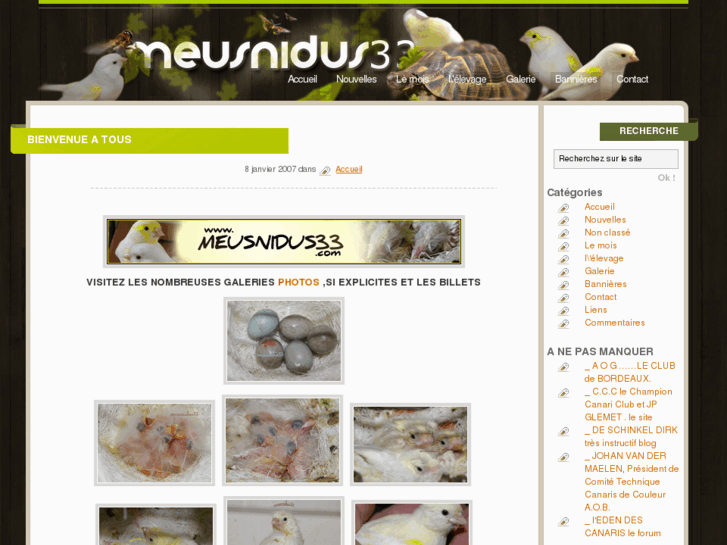 www.meusnidus33.com