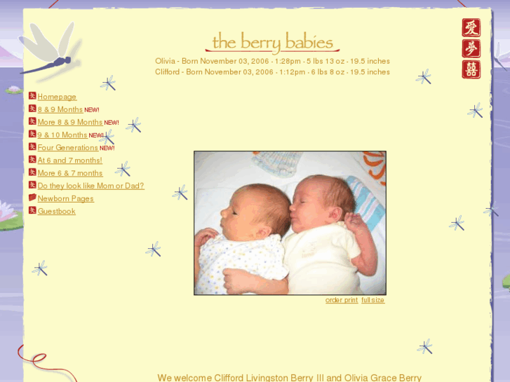 www.theberrybabies.com