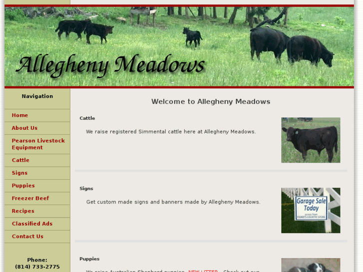 www.alleghenymeadows.com