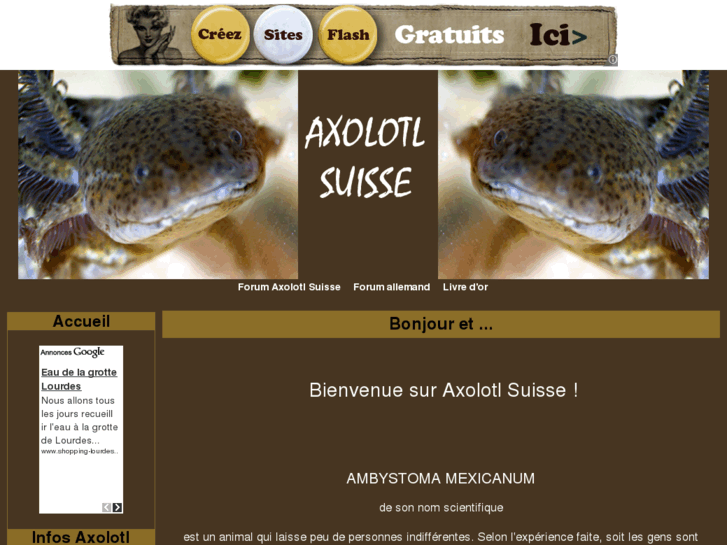 www.axolotl-suisse.info