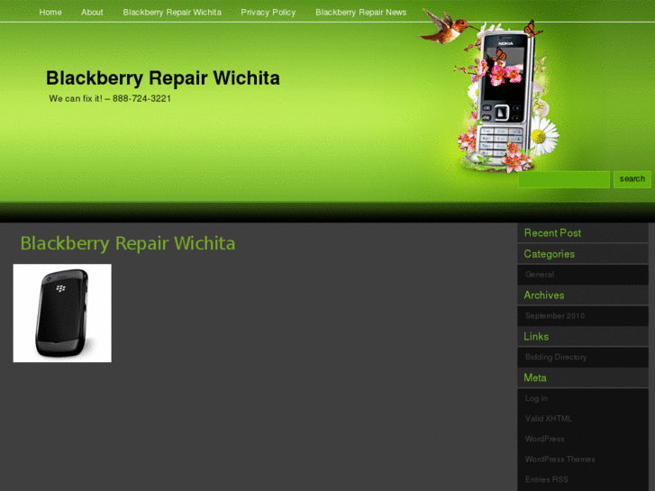 www.blackberryrepairwichita.com