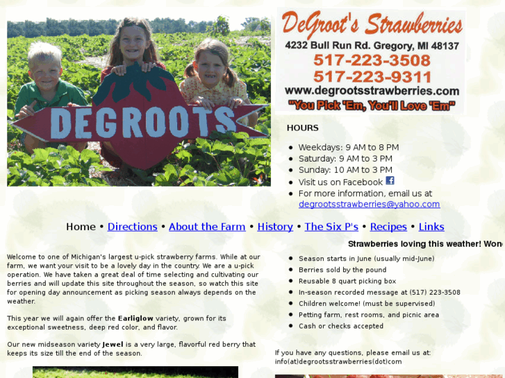www.degrootsstrawberries.com