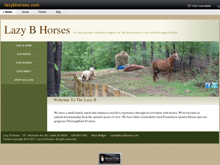 www.lazybhorses.com