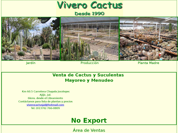 www.viverocactus.com