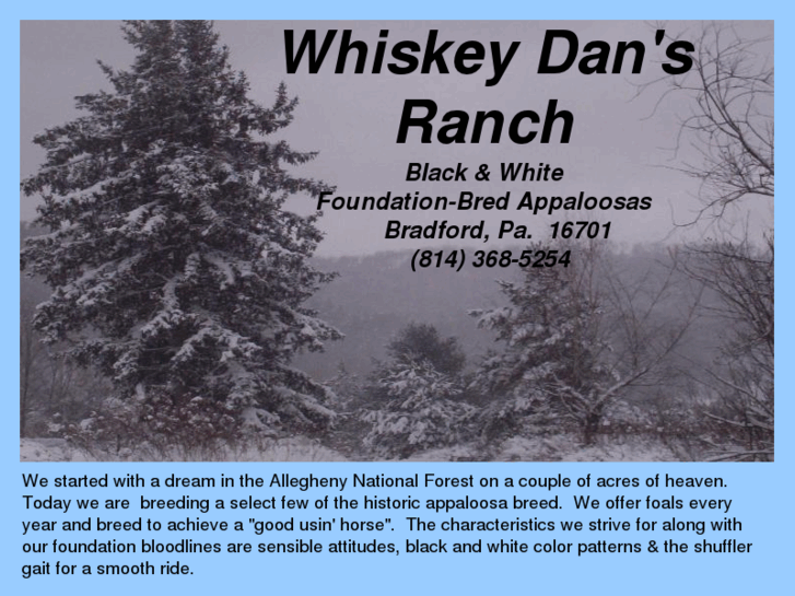 www.whiskeydansranch.com