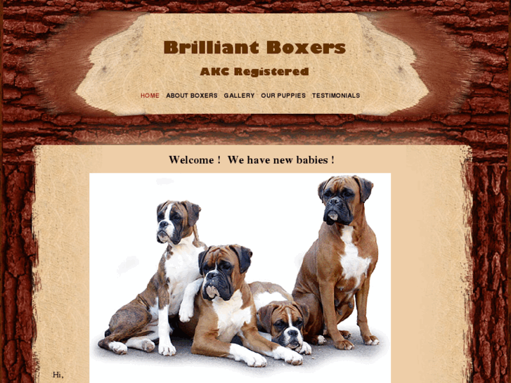 www.bodacious-boxers.com