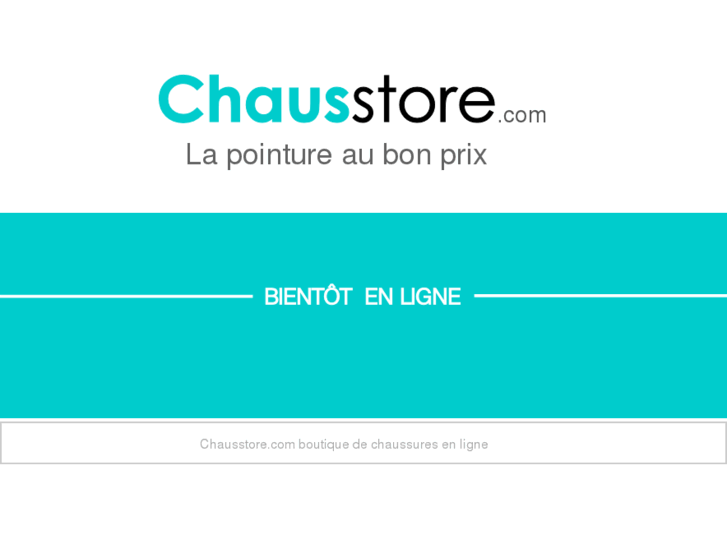 www.chausstore.com