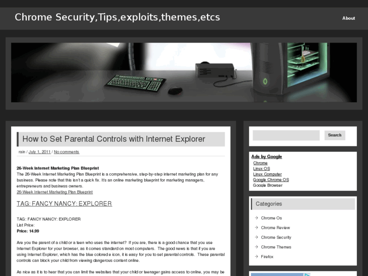 www.chrome-security.net