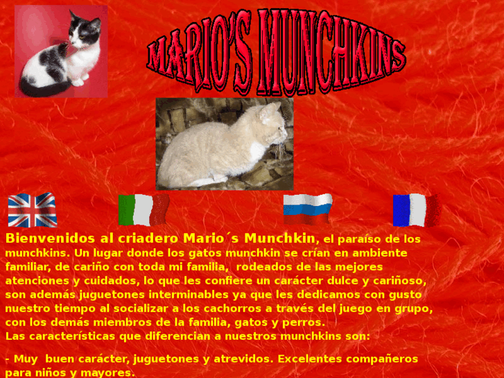 www.munchkin.es