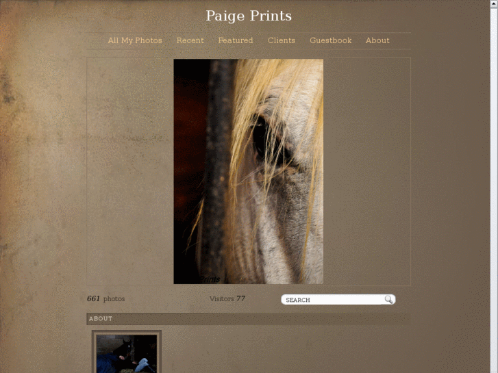 www.paigeprints.com