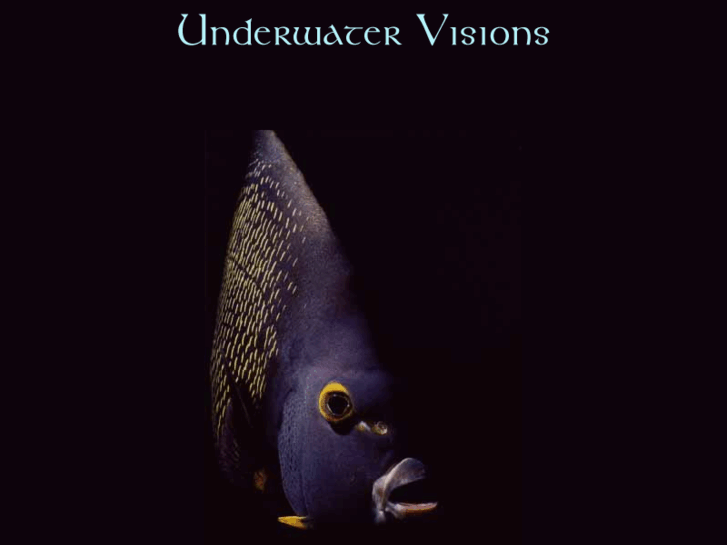 www.underwatervision.com