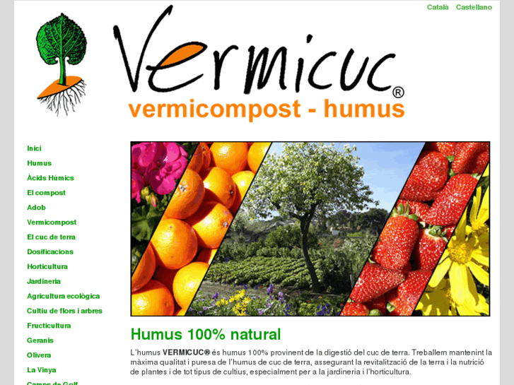 www.vermicuc.com
