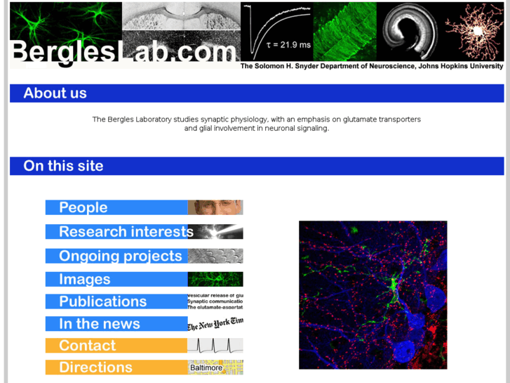 www.bergleslab.com