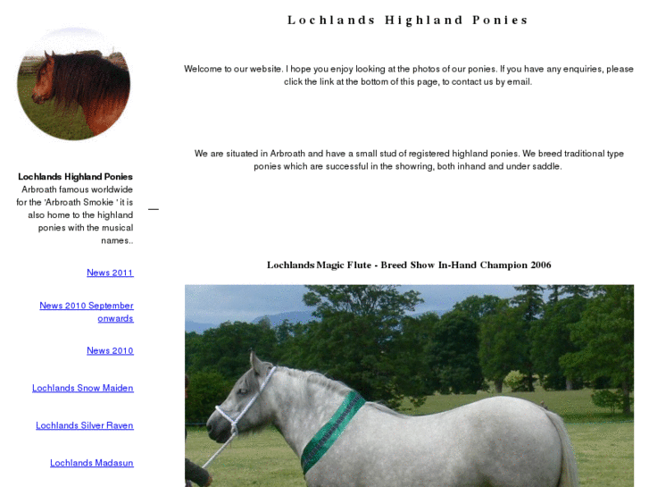 www.lochlandshighlandponies.com