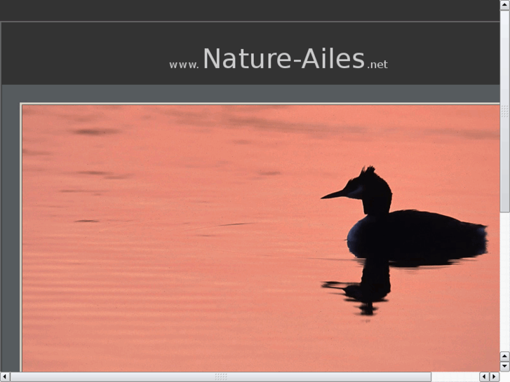 www.nature-ailes.net