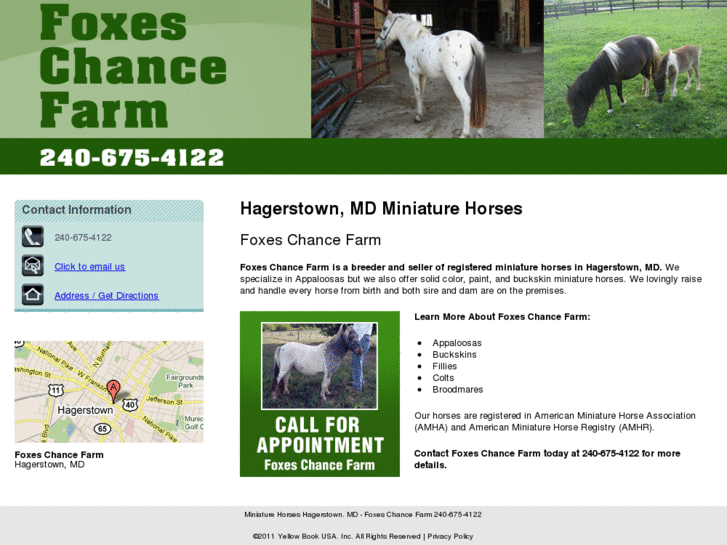 www.foxeschanceminiaturehorsefarm.com