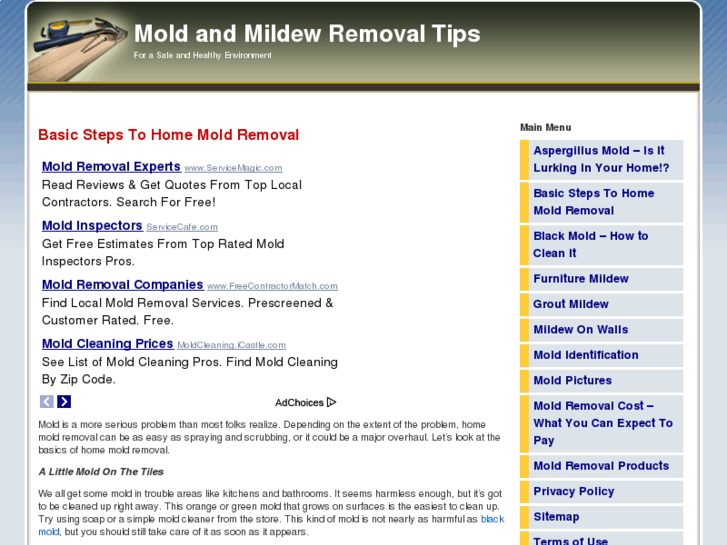 www.getmoldremovaltips.com