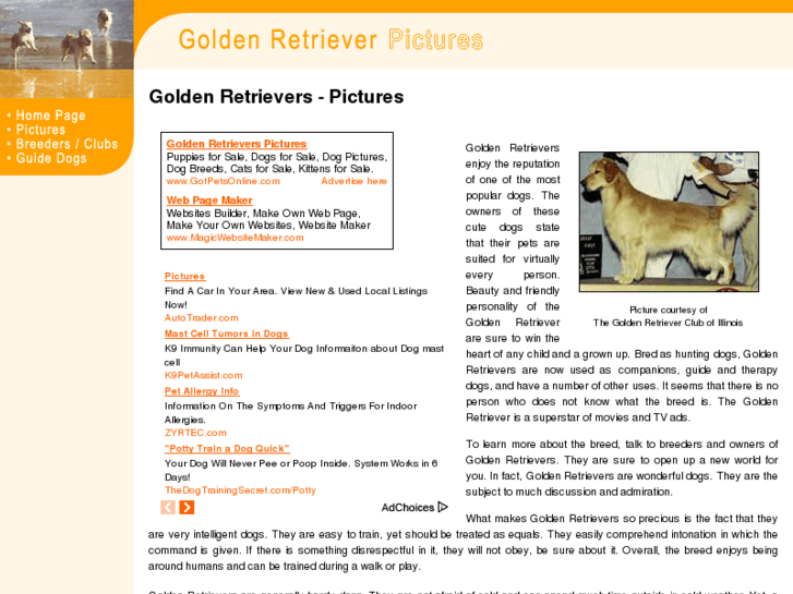 www.golden-retrievers-pictures.com