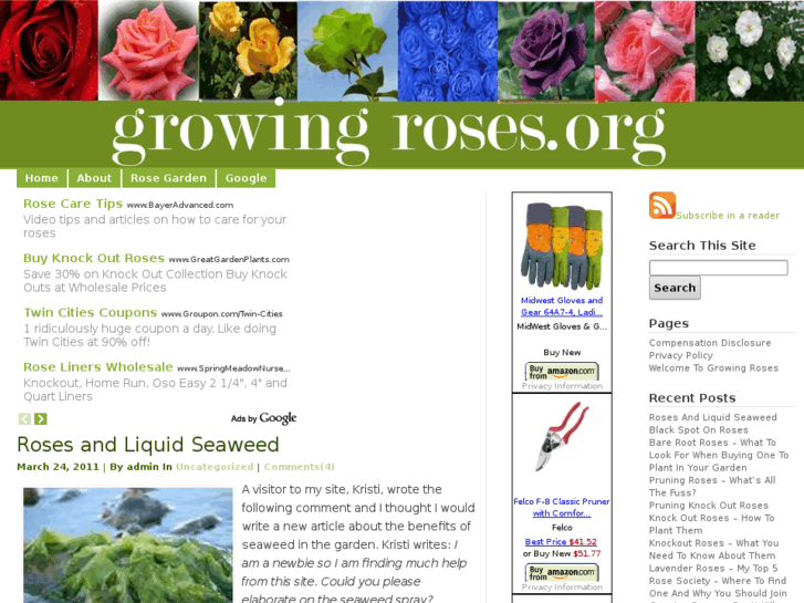 www.growingroses.org