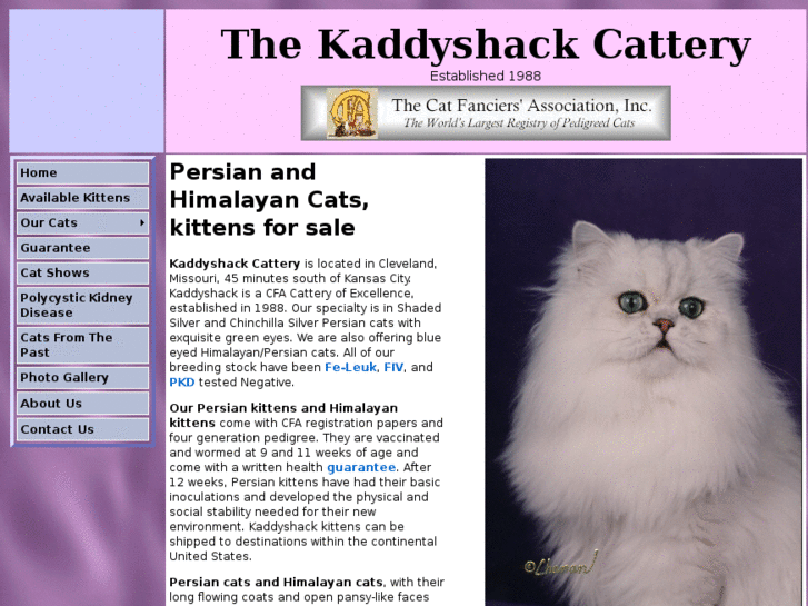 www.kaddyshack-cats.com