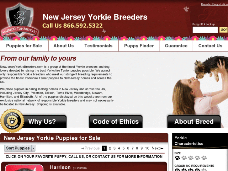 www.newjerseyyorkiebreeders.com