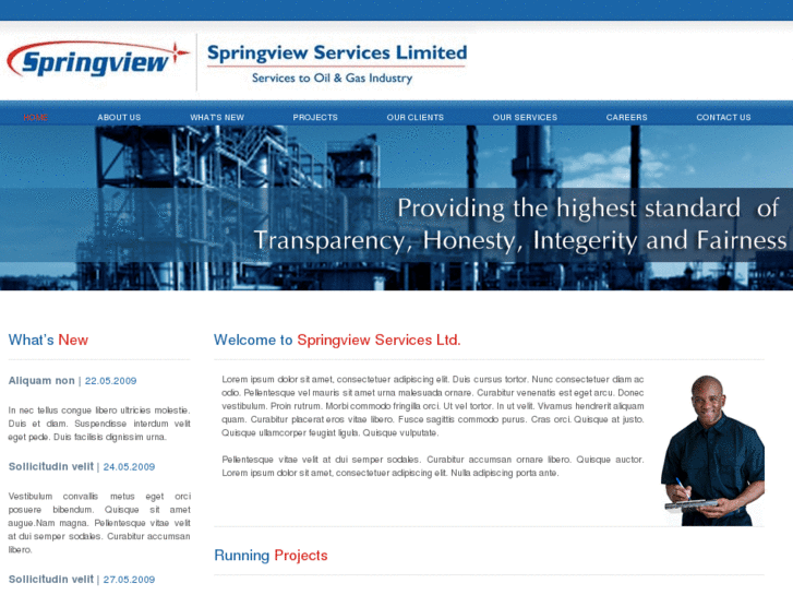 www.springviewservices.com