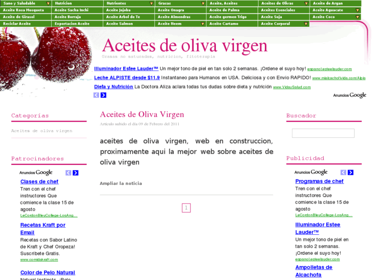 www.aceitesdeolivavirgen.es