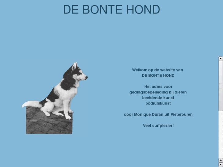 www.debontehond.com