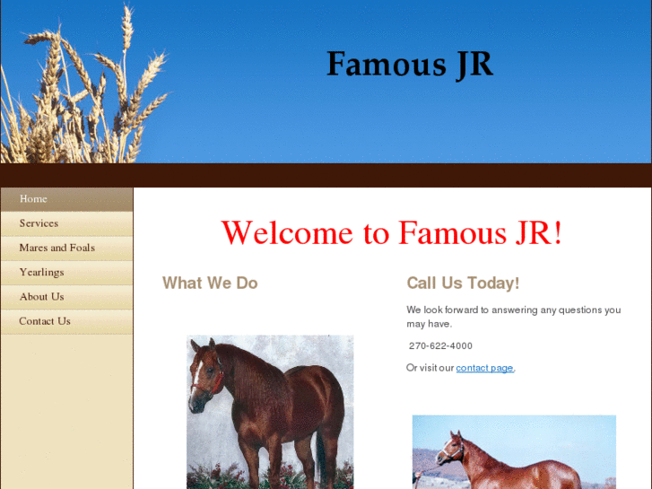 www.famousjr.com